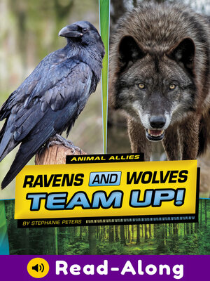 cover image of Ravens and Wolves Team Up!